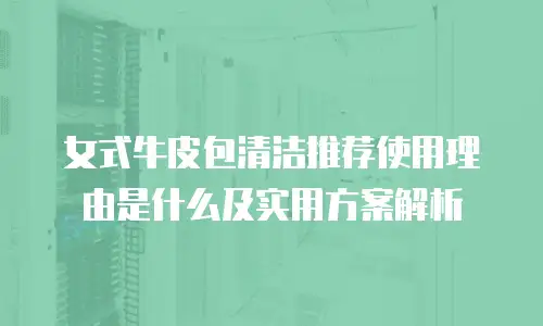 女式牛皮包清洁推荐使用理由是什么及实用方案解析