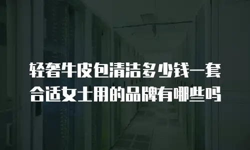 轻奢牛皮包清洁多少钱一套合适女士用的品牌有哪些吗