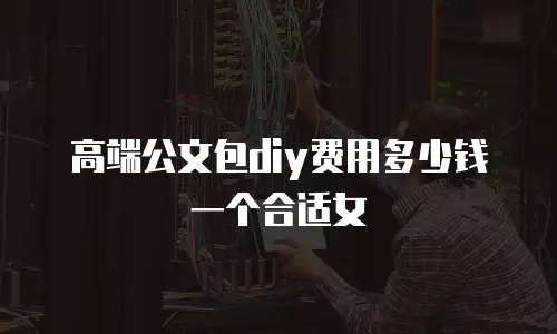 高端公文包diy费用多少钱一个合适女