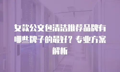 女款公文包清洁推荐品牌有哪些牌子的最好？专业方案解析