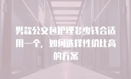 男款公文包护理多少钱合适用一个，如何选择性价比高的方案