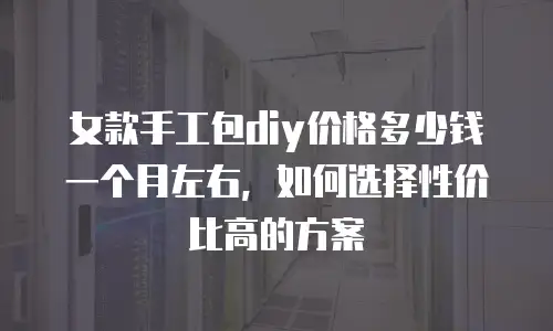 女款手工包diy价格多少钱一个月左右，如何选择性价比高的方案