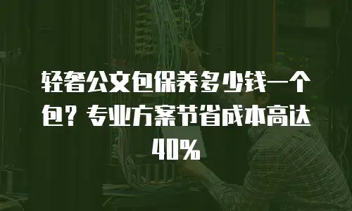 轻奢公文包保养多少钱一个包？专业方案节省成本高达40%