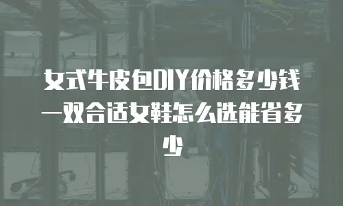 女式牛皮包DIY价格多少钱 一双合适女鞋怎么选能省多少