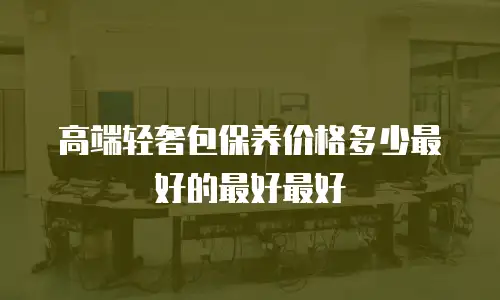 高端轻奢包保养价格多少最好的最好最好