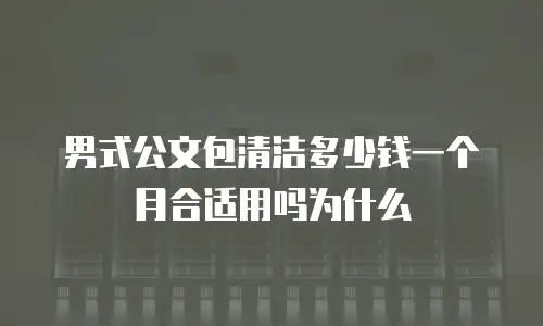 男式公文包清洁多少钱一个月合适用吗为什么