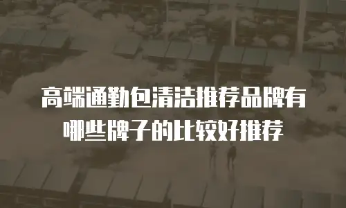 高端通勤包清洁推荐品牌有哪些牌子的比较好推荐