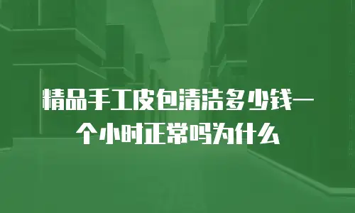 精品手工皮包清洁多少钱一个小时正常吗为什么