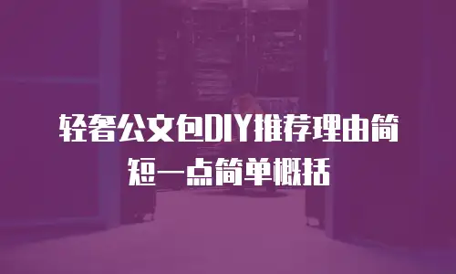 轻奢公文包DIY推荐理由简短一点简单概括