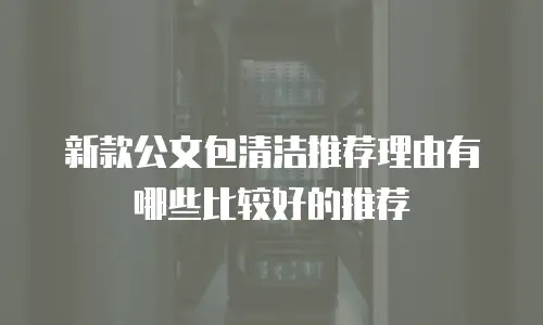 新款公文包清洁推荐理由有哪些比较好的推荐