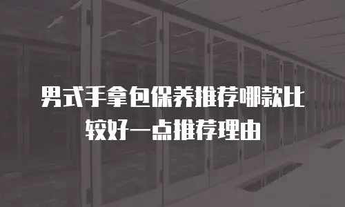 男式手拿包保养推荐哪款比较好一点推荐理由