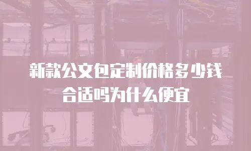 新款公文包定制价格多少钱合适吗为什么便宜