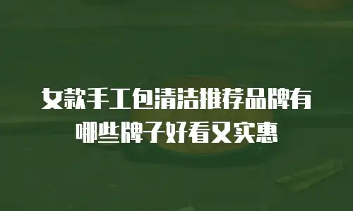 女款手工包清洁推荐品牌有哪些牌子好看又实惠