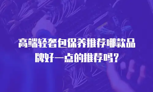 高端轻奢包保养推荐哪款品牌好一点的推荐吗？