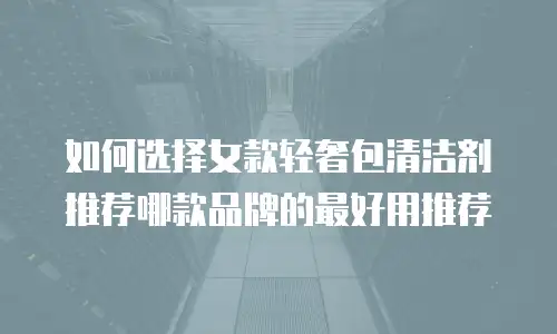 如何选择女款轻奢包清洁剂推荐哪款品牌的最好用推荐