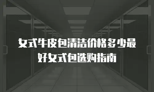 女式牛皮包清洁价格多少最好女式包选购指南