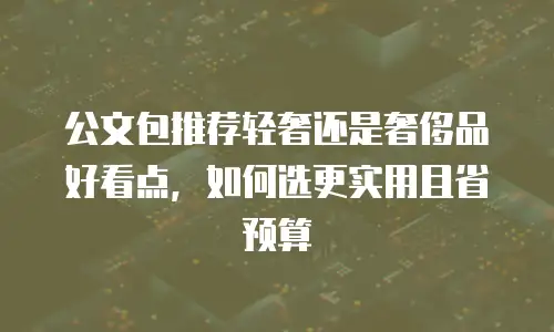 公文包推荐轻奢还是奢侈品好看点，如何选更实用且省预算
