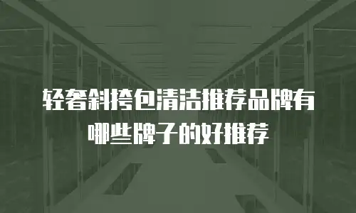 轻奢斜挎包清洁推荐品牌有哪些牌子的好推荐