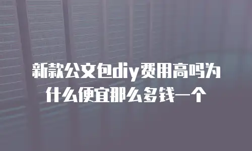 新款公文包diy费用高吗为什么便宜那么多钱一个