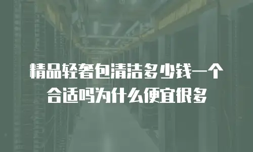 精品轻奢包清洁多少钱一个合适吗为什么便宜很多