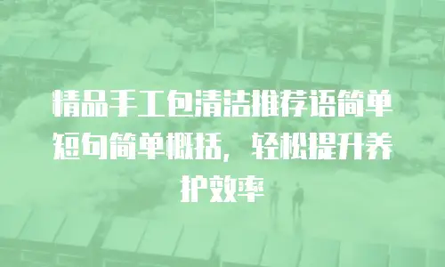 精品手工包清洁推荐语简单短句简单概括，轻松提升养护效率