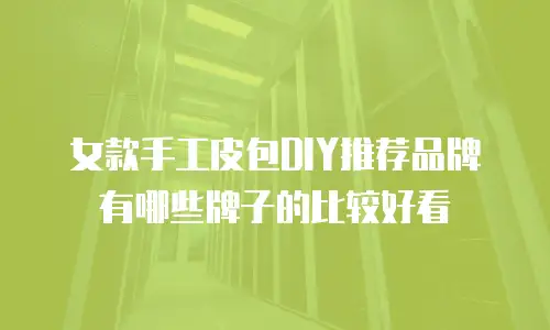 女款手工皮包DIY推荐品牌有哪些牌子的比较好看