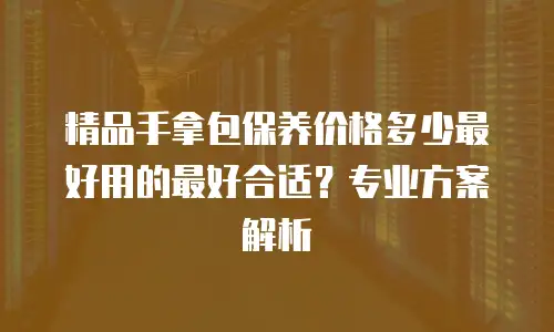 精品手拿包保养价格多少最好用的最好合适？专业方案解析