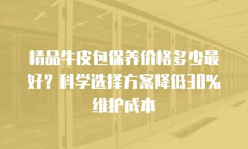 精品牛皮包保养价格多少最好？科学选择方案降低30%维护成本