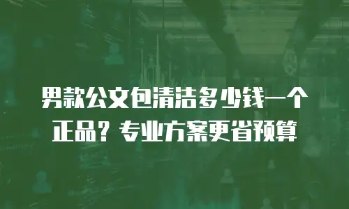 男款公文包清洁多少钱一个正品？专业方案更省预算