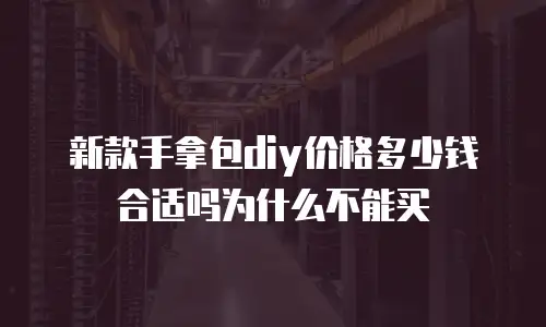 新款手拿包diy价格多少钱合适吗为什么不能买