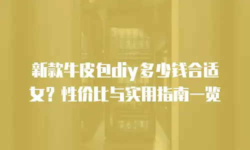 新款牛皮包diy多少钱合适女？性价比与实用指南一览