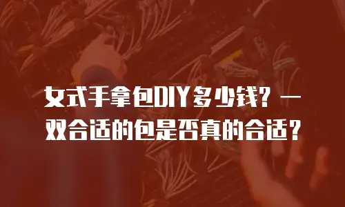 女式手拿包DIY多少钱？一双合适的包是否真的合适？