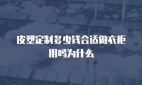 皮塑定制多少钱合适做衣柜用吗为什么