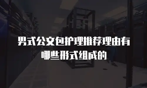 男式公文包护理推荐理由有哪些形式组成的