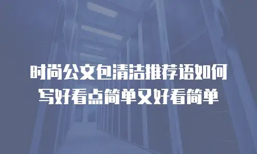 时尚公文包清洁推荐语如何写好看点简单又好看简单