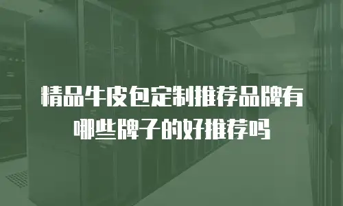 精品牛皮包定制推荐品牌有哪些牌子的好推荐吗