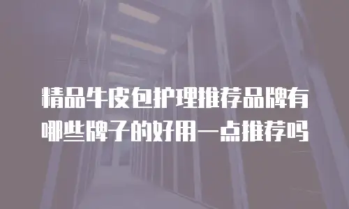 精品牛皮包护理推荐品牌有哪些牌子的好用一点推荐吗