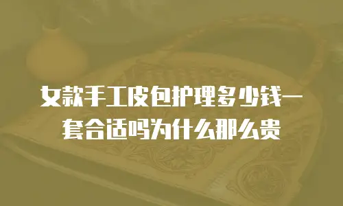 女款手工皮包护理多少钱一套合适吗为什么那么贵