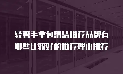 轻奢手拿包清洁推荐品牌有哪些比较好的推荐理由推荐