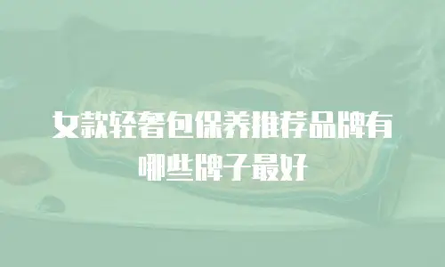 女款轻奢包保养推荐品牌有哪些牌子最好