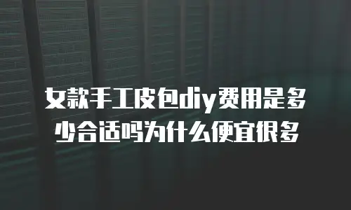 女款手工皮包diy费用是多少合适吗为什么便宜很多