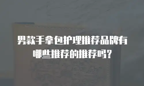 男款手拿包护理推荐品牌有哪些推荐的推荐吗？