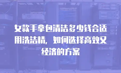 女款手拿包清洁多少钱合适用洗洁精，如何选择高效又经济的方案