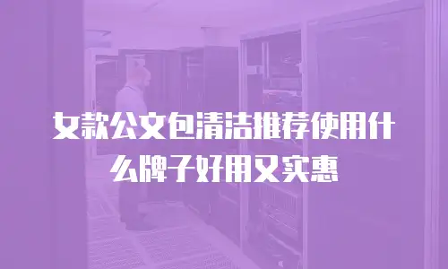 女款公文包清洁推荐使用什么牌子好用又实惠