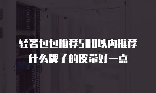 轻奢包包推荐500以内推荐什么牌子的皮带好一点