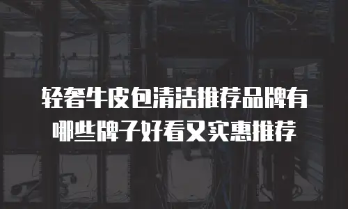 轻奢牛皮包清洁推荐品牌有哪些牌子好看又实惠推荐