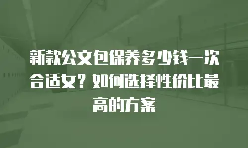 新款公文包保养多少钱一次合适女？如何选择性价比最高的方案