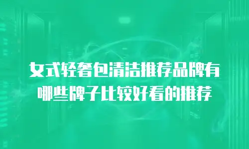 女式轻奢包清洁推荐品牌有哪些牌子比较好看的推荐