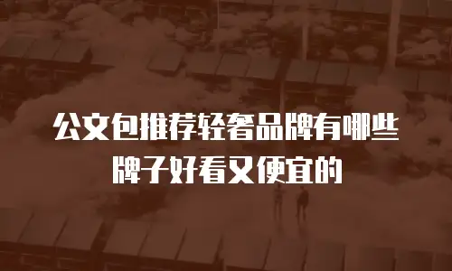 公文包推荐轻奢品牌有哪些牌子好看又便宜的