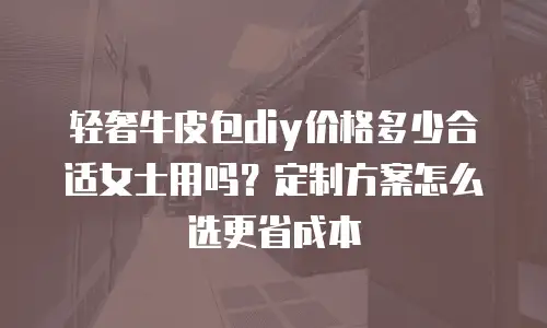 轻奢牛皮包diy价格多少合适女士用吗？定制方案怎么选更省成本